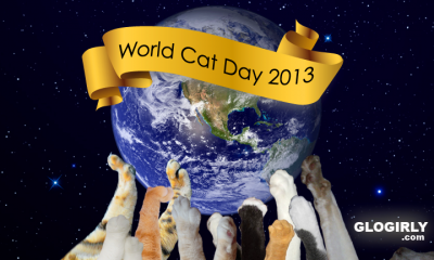 Celebrate World Cat Day!!