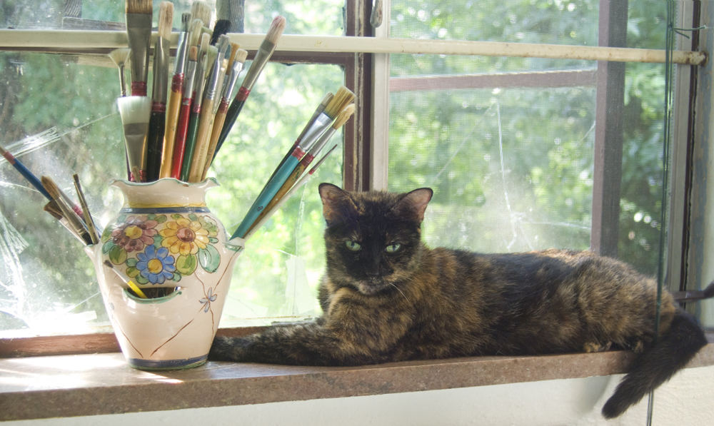 tortoiseshell cat on windowsill with paintbrushes