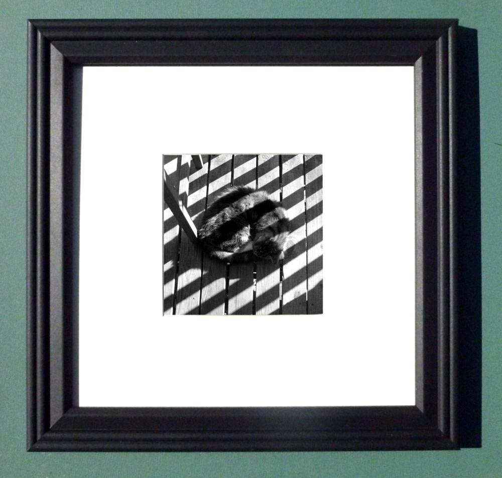 PHOTO-Stripes-5x5-blackframe