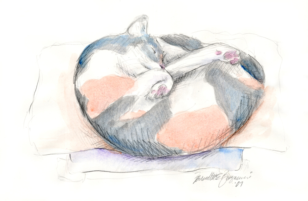 pencil and watercolor sketch of cat