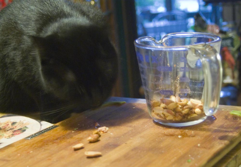 black cat eating peanuts