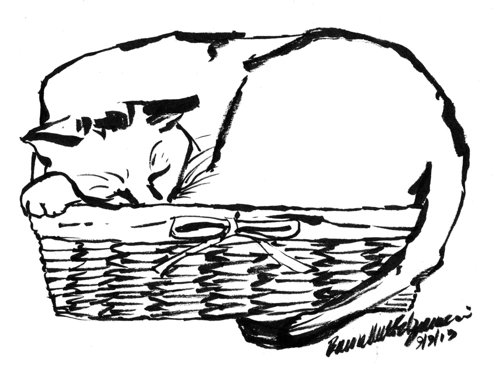 brush pen draking of cat in basket