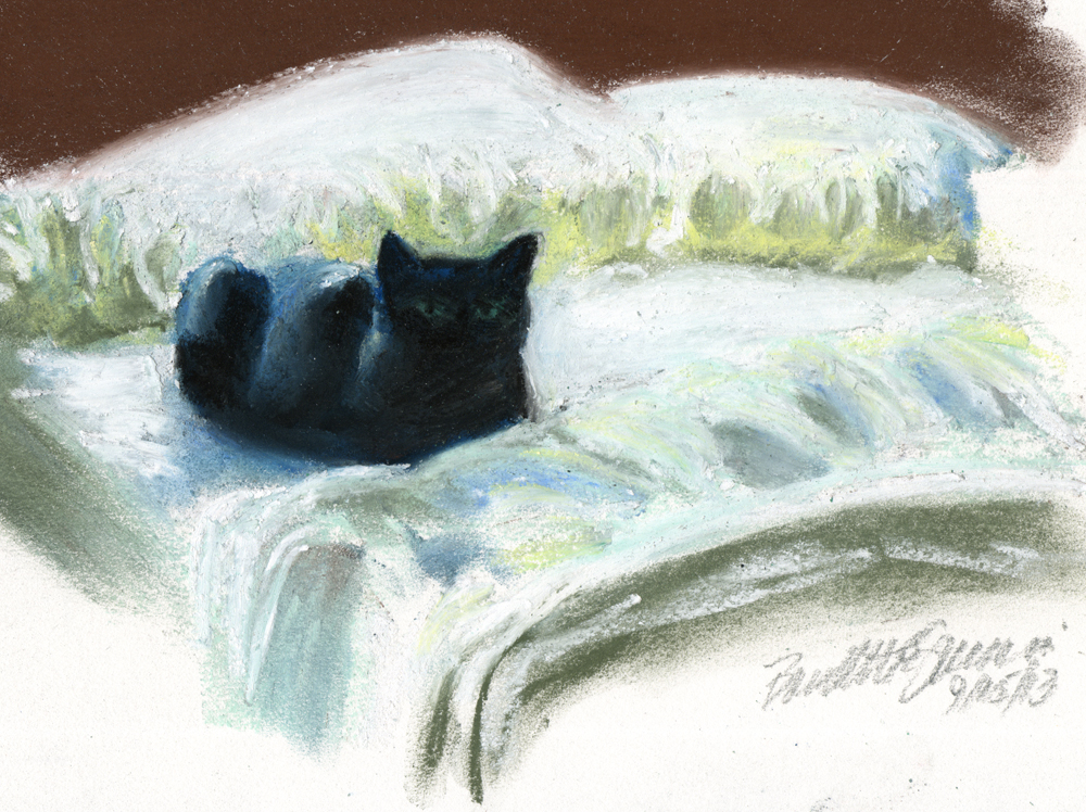 pastel sketch of black cat on bed