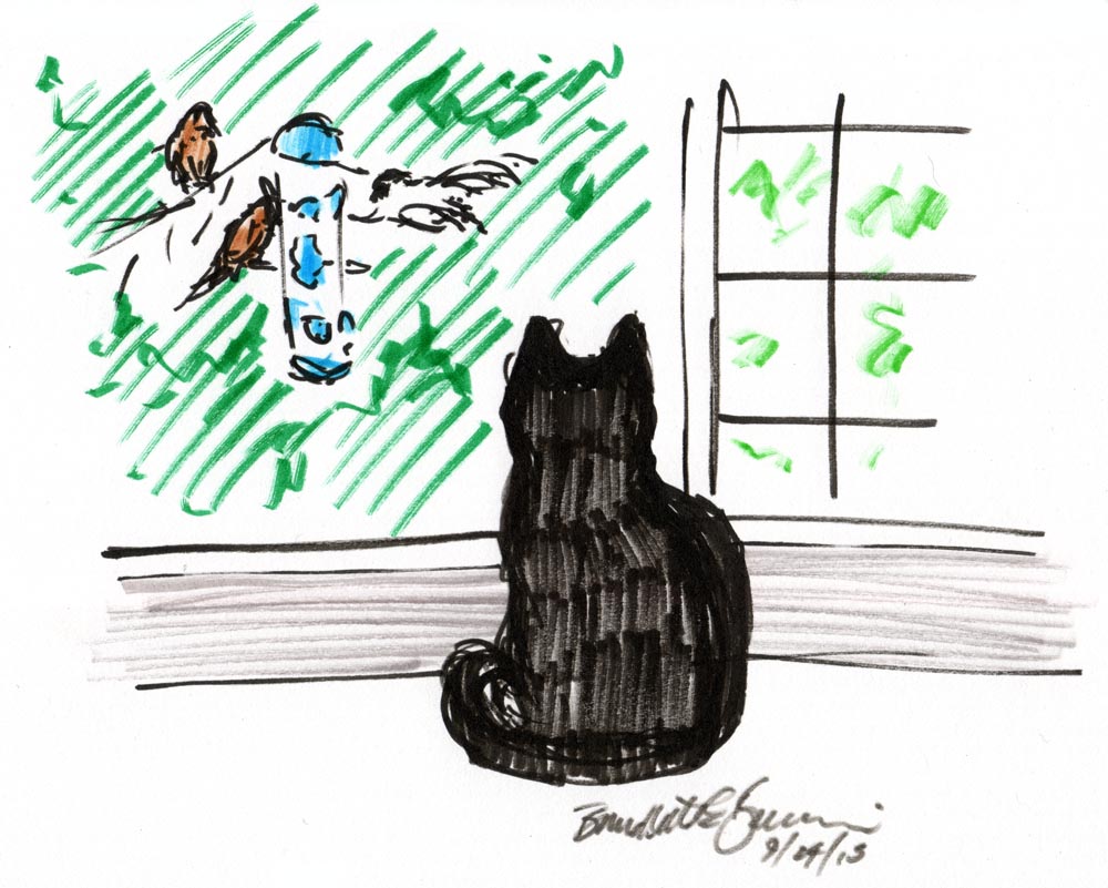 marker sketch of black cat watching birds at feeder