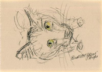 distorted closeup sketch of cat