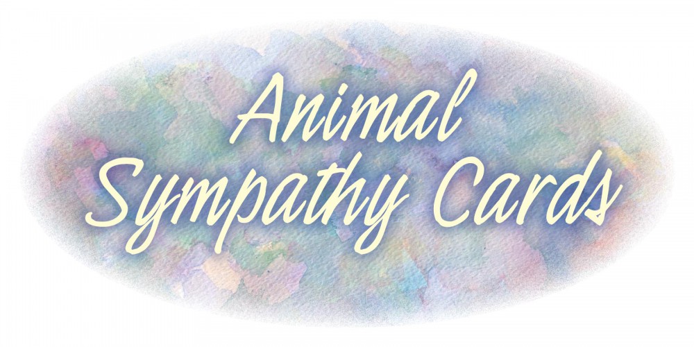 animal sympathy cards
