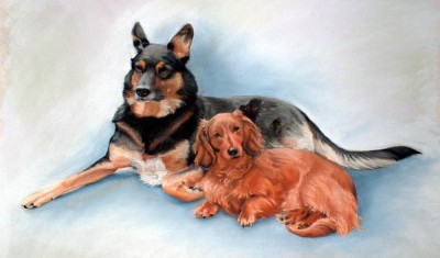portrait of two dogs