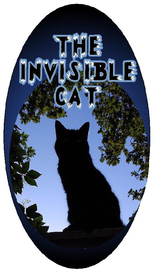 invisible cat graphic