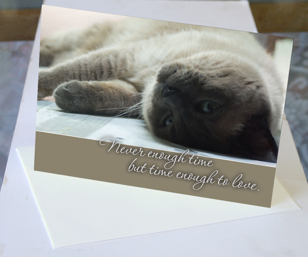 animal sympathy card for cat
