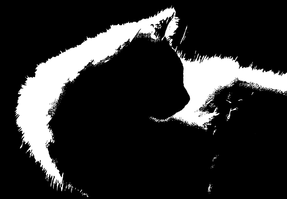 ink drawing of cat silhouette