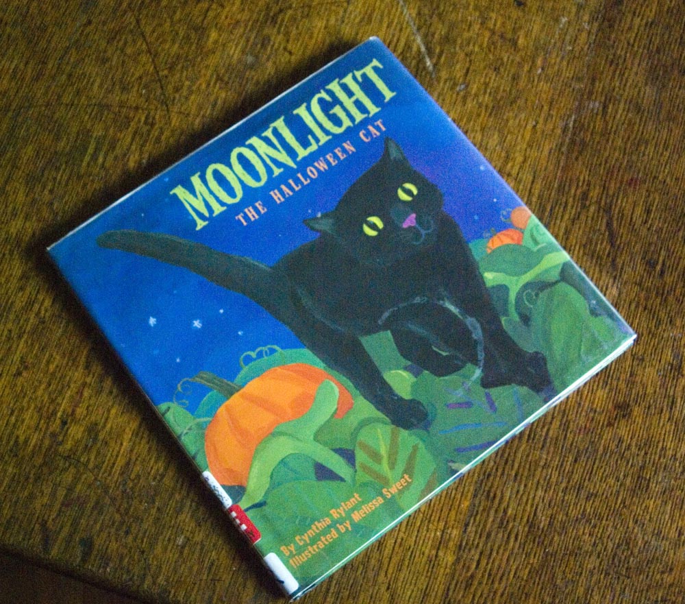 moonlight the halloween cat