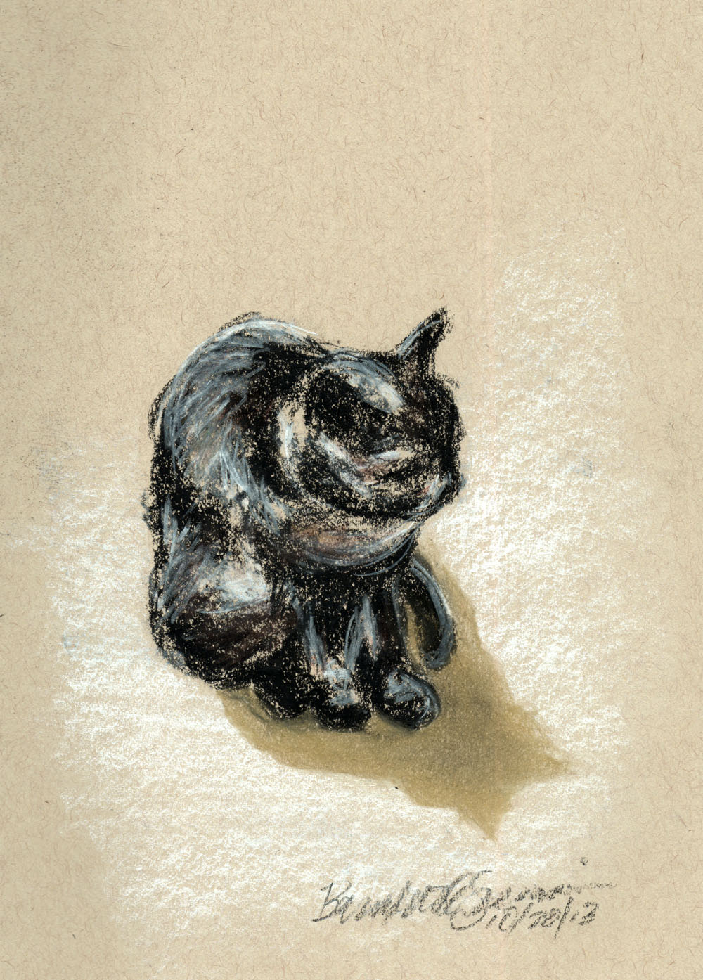 pastel sektch of cat on paper