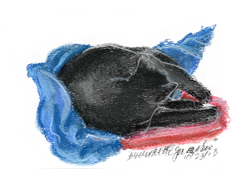 pastel sketch of black cat on red and blue blankets