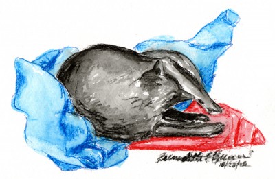 watercolor of black cat on red and blue blankets