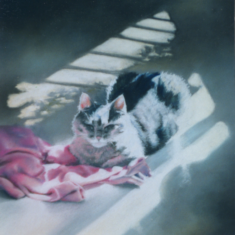 "A Rosy Glow", pastel on velour paper, 10" x 10", 1996 © BernadetteE. Kazmarski