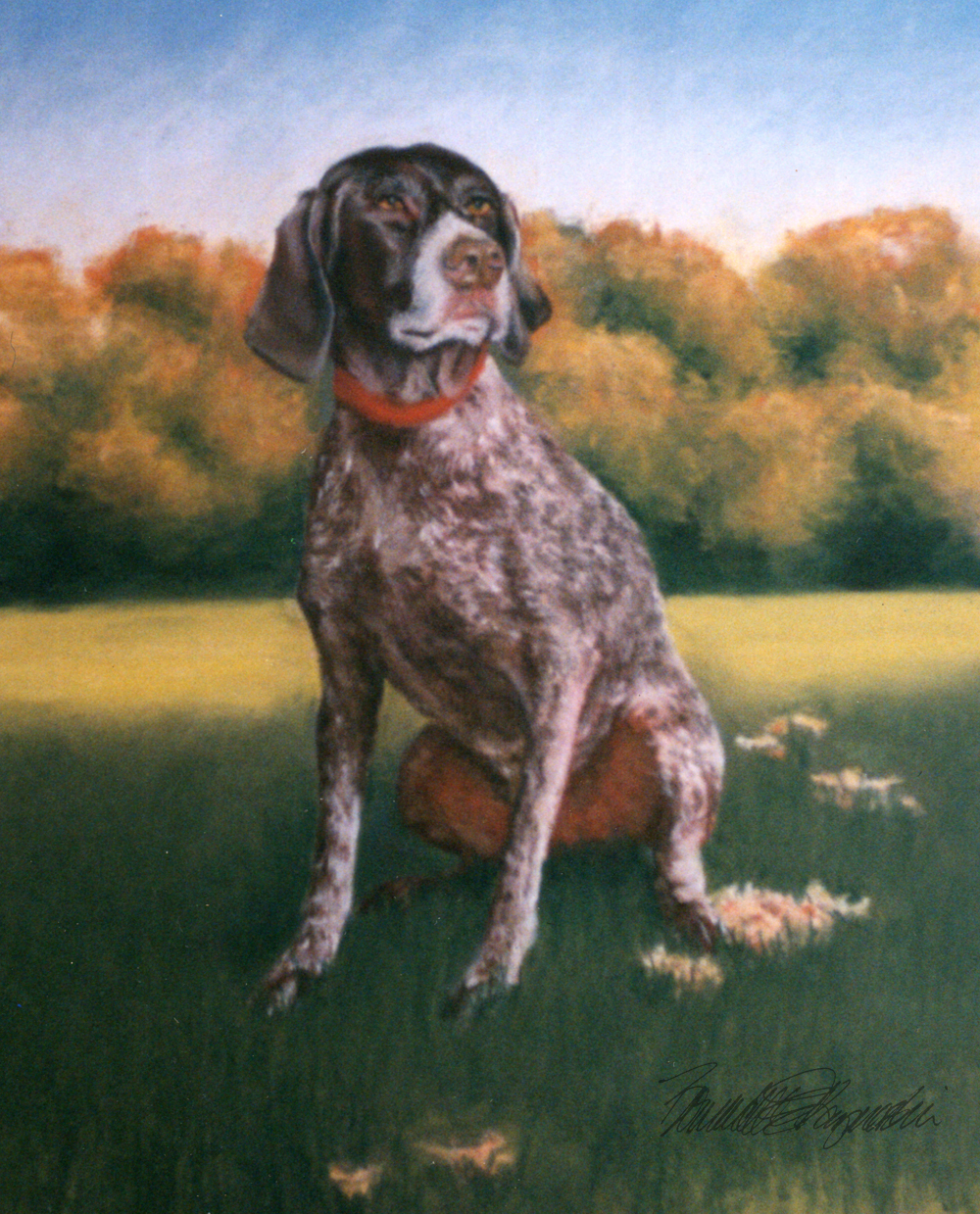 pastel portrait of german short-haired pointer dog
