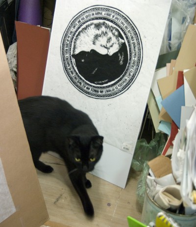 black cat with prints