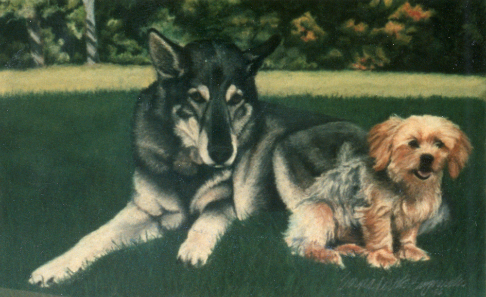 pastel portrait of german shepherd and terrier