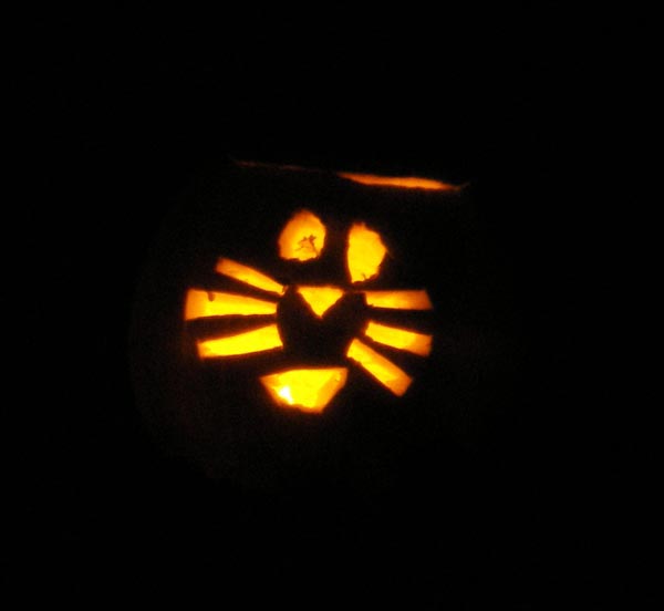 cat jack-o-lantern