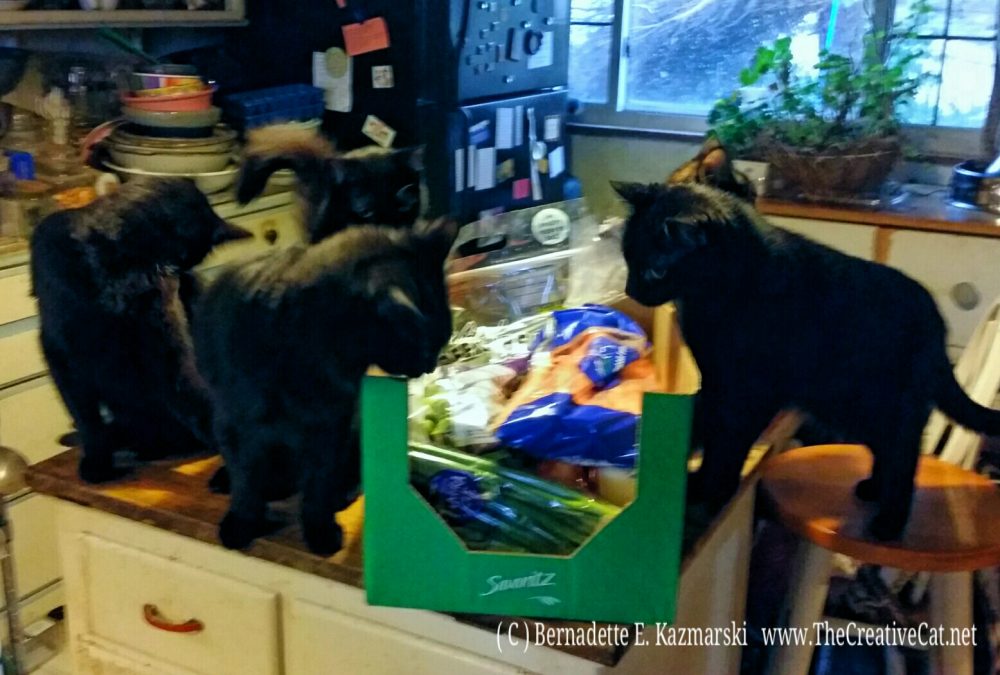 photo of cats and vegetables in box