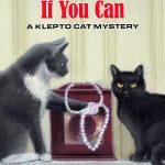 Klepto Cat Mystery Book Cover illustration and design