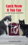 Klepto Cat Mystery Book Cover illustration and design