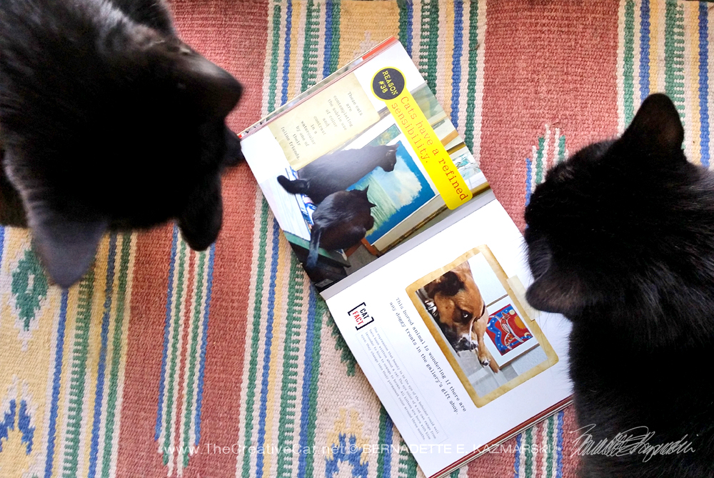 two black cats with book