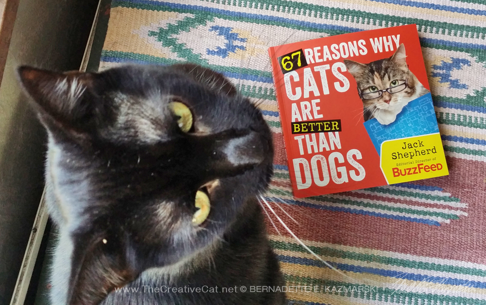 black cat with "67 reasons why cats are better than dogs" by Jack Shepherd