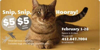 low-cost neuter at animal friends
