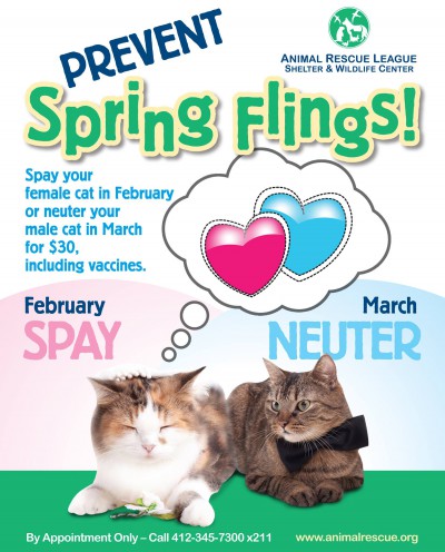 flyer for low-cost spay and neuter.