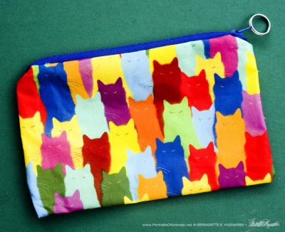 Inscrutable Patterns accessory bag