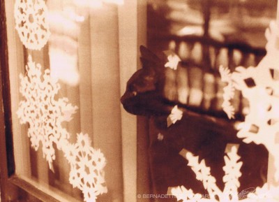sepia photo of a cat with snowflakes