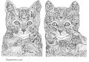 Ink drawing of two cats