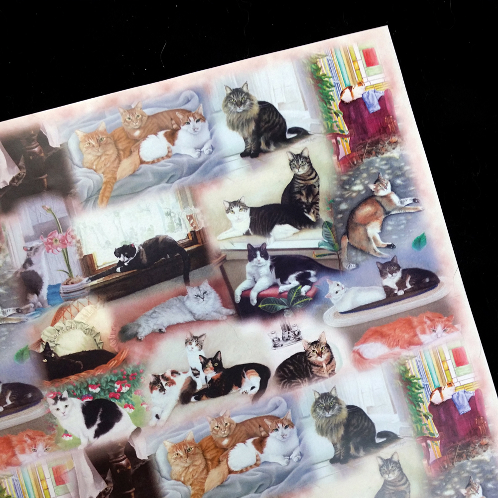 art paper with collage of cat portraits
