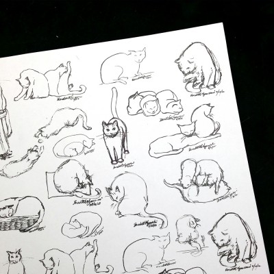 art paper with ink sketches of cats