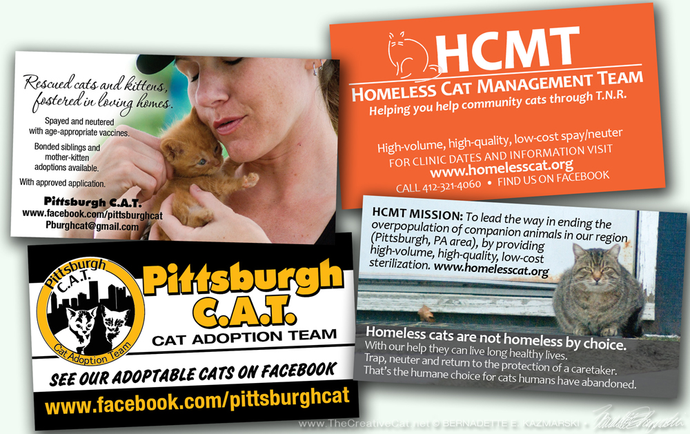 Business cards for HCMT and Pittsburgh CAT.