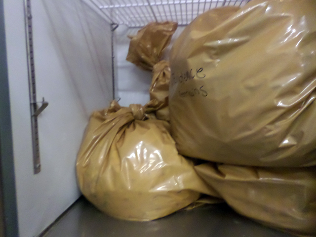 Bags of evidence at the Beaver County Humane Society