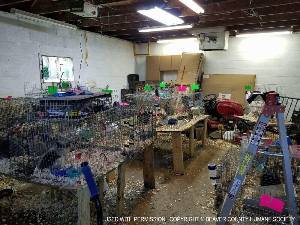 The garage where all the animals were kept.