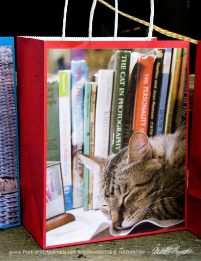 Dickie the Library Cat gift bag.