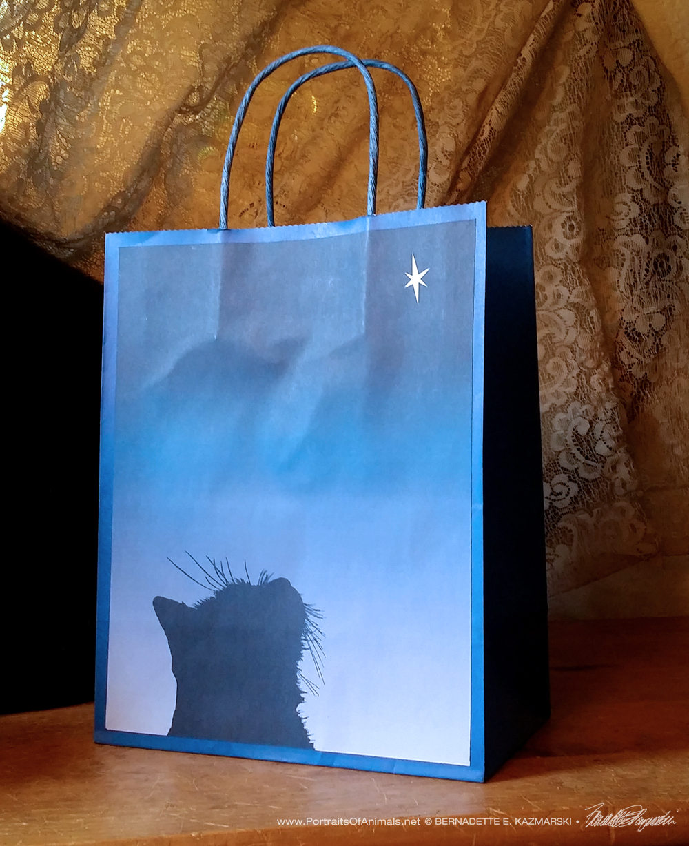 Star of Kittens gift bag