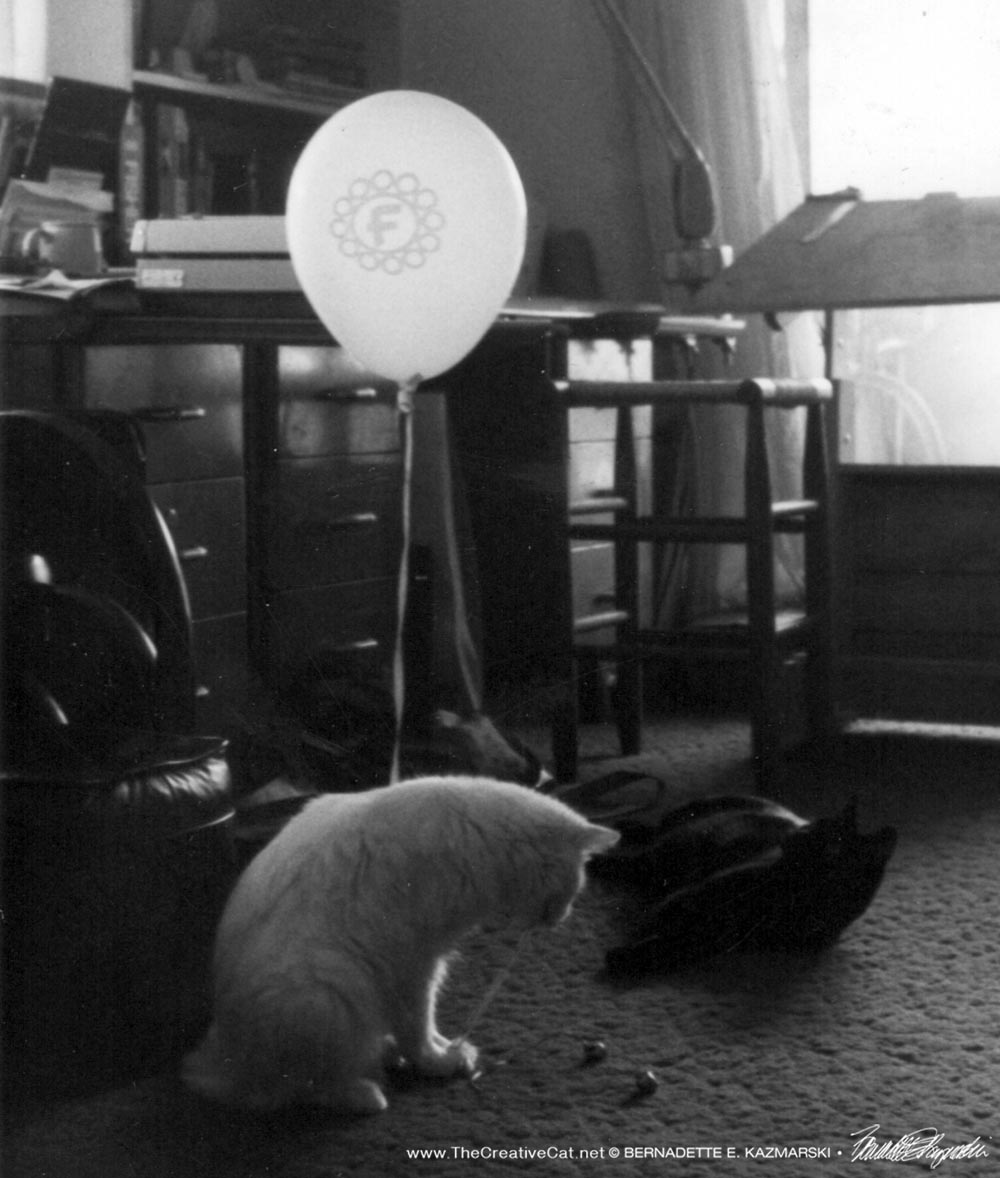 two cats and balloon in black and white