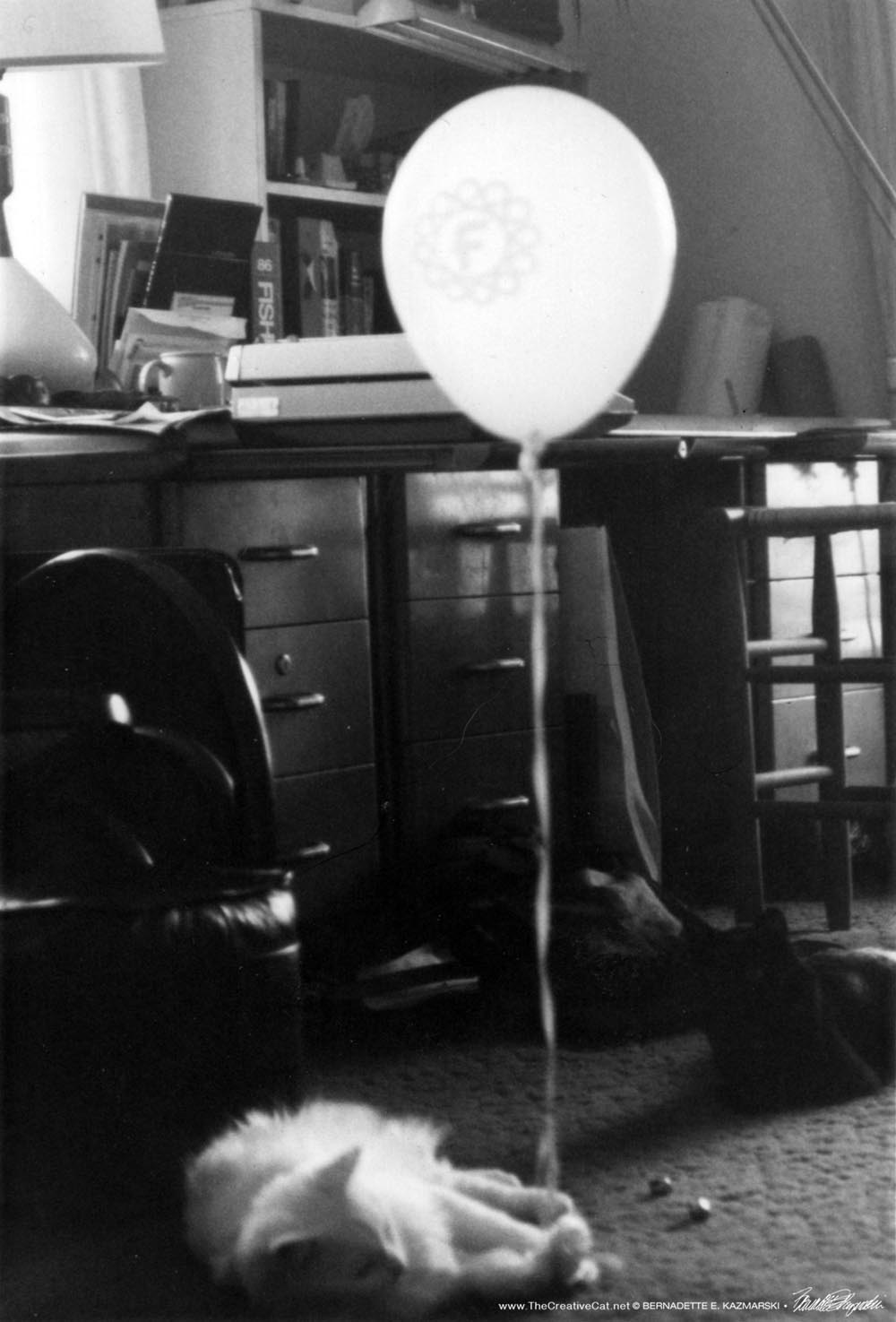 two cats and balloon in black and white