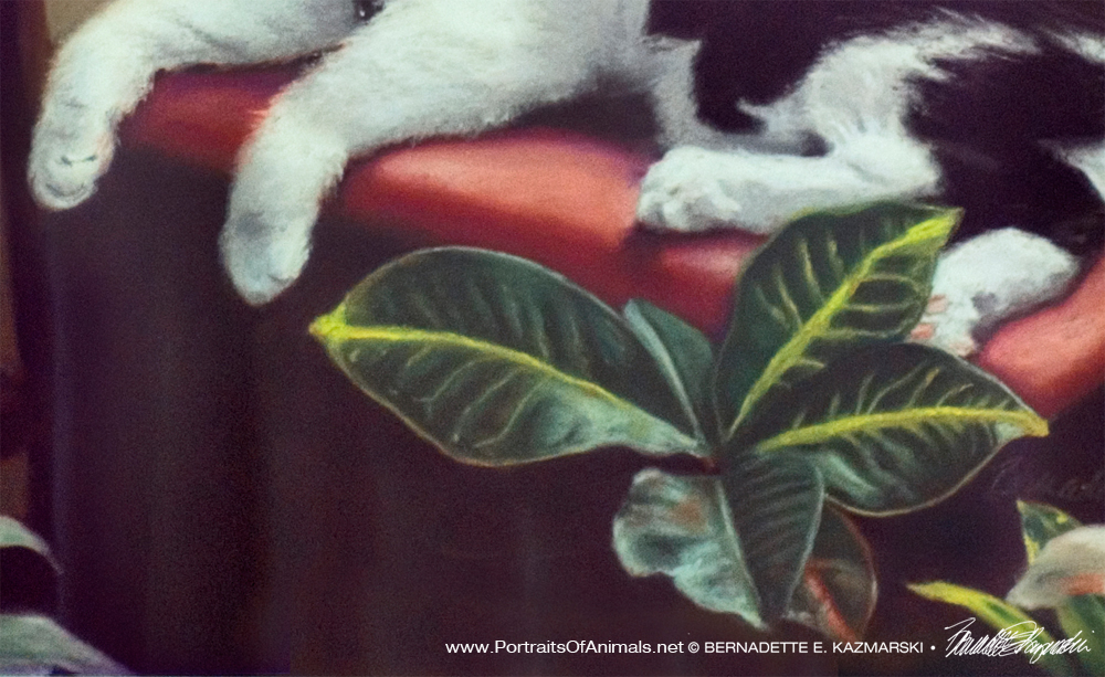 Detail of portrait, paws and plant
