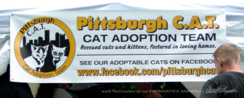 Pittsburgh CAT banner.