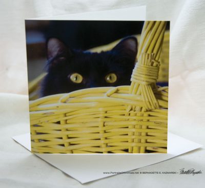 Surprise! Feline Photo Card