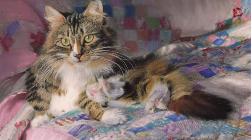 pastel painting of cat on quilt on bed
