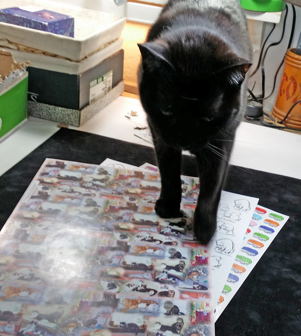 black cat walkding on art papers