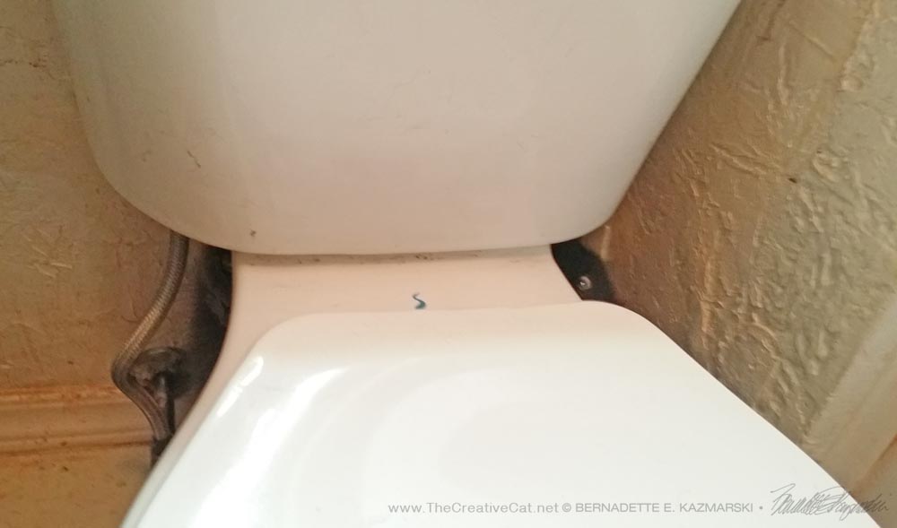 Look closely, my toilet has eyes.
