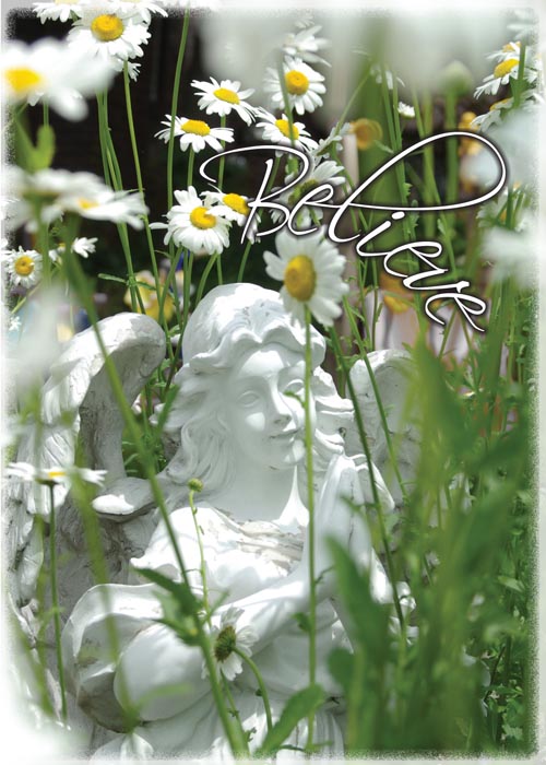 greeting card with angel and daisies