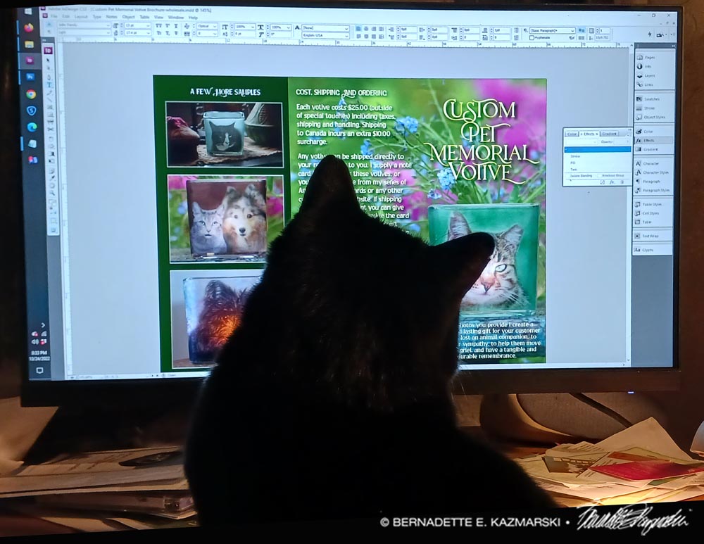 black cat looking at computer screen